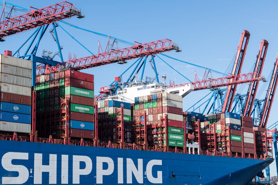 Shipping containers and cranes at Hamburg port showcasing global trade.
